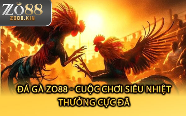 Đá Gà Zo88 - Cuộc Chơi Siêu Nhiệt, Thưởng Cực Đã