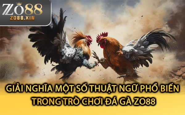 Giải Nghĩa Một Số Thuật Ngữ Phổ Biến Trong Trò Chơi Đá Gà Zo88